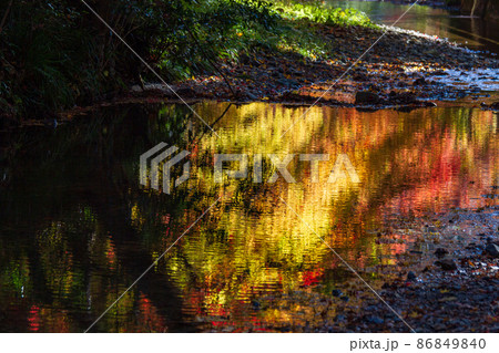 静岡県周智郡森町一宮　小國神社　晩秋の風景 86849840