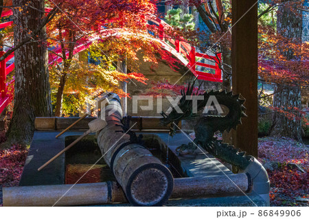 静岡県周智郡森町橘 大洞院 晩秋の風景 静岡県周智郡森町橘 大洞院 晩秋の風景 86849906