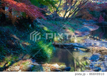 静岡県周智郡森町橘　大洞院　晩秋の風景 86849910