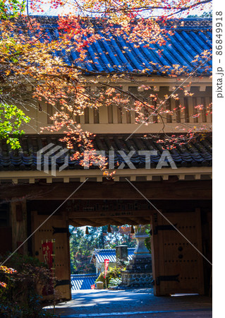 静岡県袋井市村松 油山寺 晩秋の風景 静岡県袋井市村松 油山寺 晩秋の風景 86849918