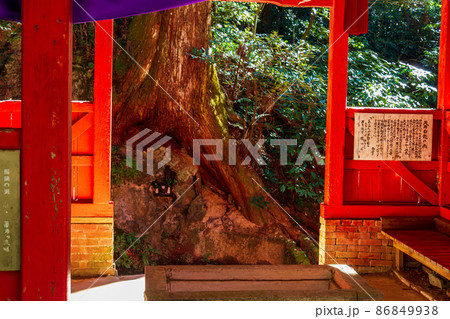 静岡県袋井市村松 油山寺 晩秋の風景 静岡県袋井市村松 油山寺 晩秋の風景 86849938