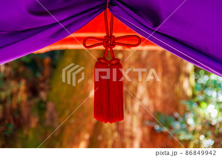 静岡県袋井市村松　油山寺　晩秋の風景 86849942