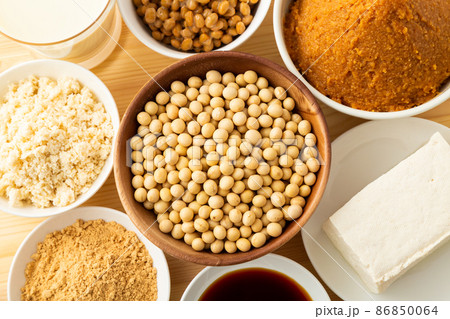 大豆の発酵食品 大豆の発酵食品 86850064