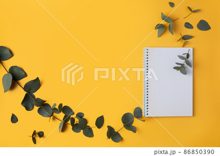 Eucalyptus leaves and a notebook with a pencil on a yellow background. Top view. Flat lay. Place for text, copy space. 86850390
