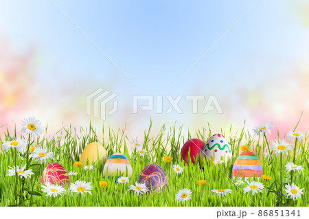 Eggs and flowers in green grass Eggs and flowers in green grass 86851341