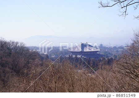 冬・朝霧の中の東大寺5 冬・朝霧の中の東大寺5 86851549