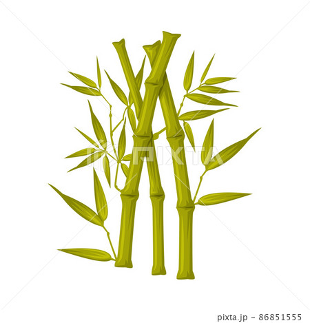 bamboo stick drawing
