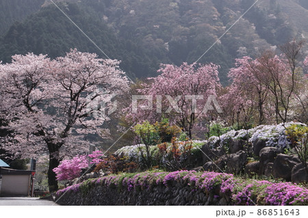 花の寺龍珠院 86851643