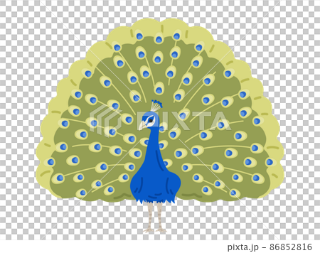 孔雀展開翅膀的插圖 86852816