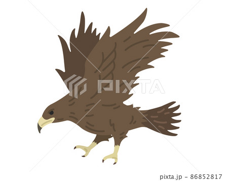 Flying Hawk Illustration Stock Illustration