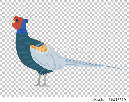 国鳥の雉のイラスト 86852819