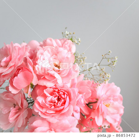 Pink roses on gray background. Perfect for background greeting cards and invitations of the wedding, birthday, Valentine's Day, Mother's Day Pink roses on gray background. Perfect for background greeting cards and invitations of the wedding, birthday, Valentine's Day, Mother's Day 86853472