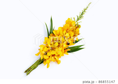 Bouquet beautiful yellow orchid flowers isolated on white background Bouquet beautiful yellow orchid flowers isolated on white background 86855147