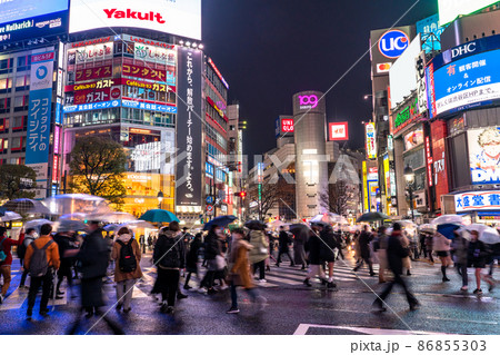 《東京都》雨の東京・渋谷スクランブル交差点 86855303