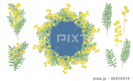 フラワーリース・ミモザ・セット フラワーリース・ミモザ・セット 86856059