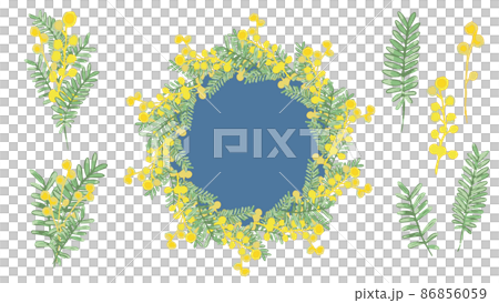 フラワーリース・ミモザ・セット フラワーリース・ミモザ・セット 86856059