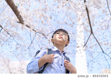 桜の木を見上げる小学生の男の子 86856069