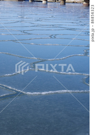 蓮の葉氷 86856323