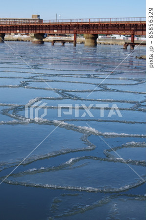 蓮の葉氷と鉄橋 蓮の葉氷と鉄橋 86856329