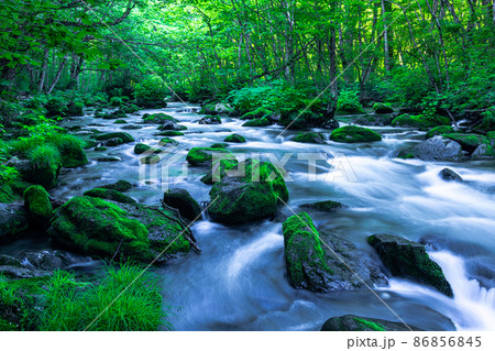【青森県_奥入瀬渓流】初夏の三乱の流れ 86856845