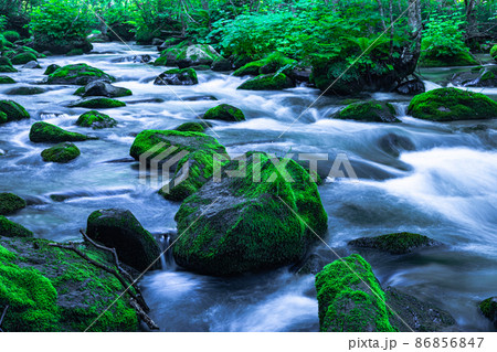 【青森県_奥入瀬渓流】初夏の三乱の流れ 86856847