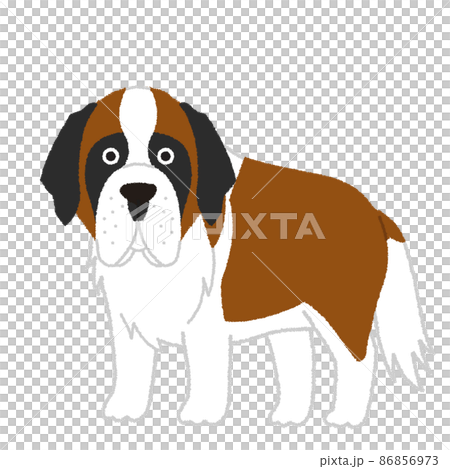 St. Bernard dog illustration 86856973