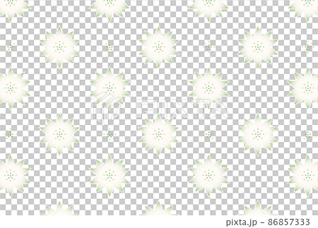 アストランティア アストランティア 86857333