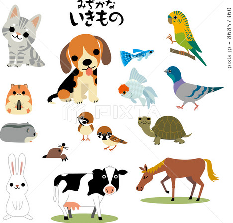 身近な生き物 86857360