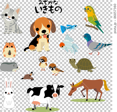 Familiar creatures 86857360