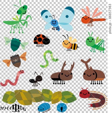 Insects 86857363