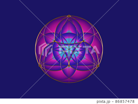 Seed Flower of life lotus icon, yantra mandala sacred geometry, golden symbol of harmony and balance. Purple color Mystical talisman, gold lines vector isolated on blue background 86857478
