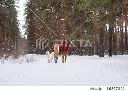 Winter walking with dog in the forest 86857891