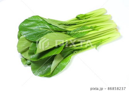 小松菜、白バック 86858237