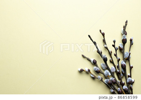 Spring Easter top view background with willow twigs Spring Easter top view background with willow twigs 86858599