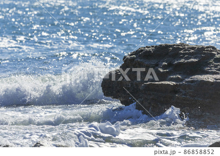 茨城県日立市　初崎海岸の岩場 86858852