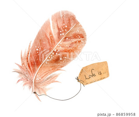 Feather with love tag watercolor illustration isolated 86859958