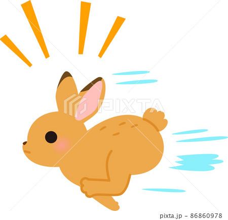 走るウサギ 86860978