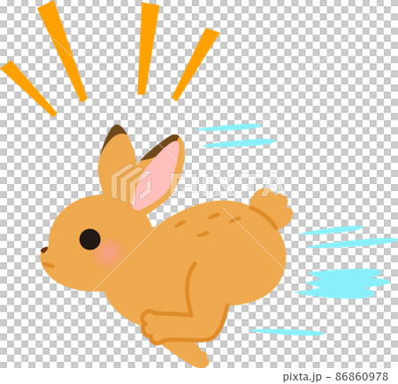 走るウサギ 86860978