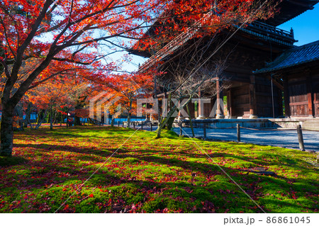 京都　晩秋の南禅寺　三門 86861045