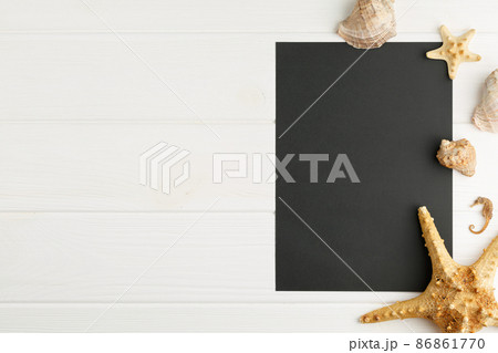 Board with mollusk seashells on the board. Board with mollusk seashells on the board. 86861770