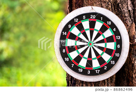 dartboard closeup with blur bokeh background for objective business target, dart board sport and business concept 86862496