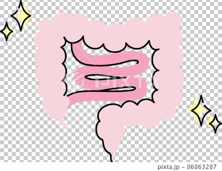 Illustration of intestinal environment 86863287