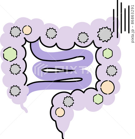 腸内環境のイラストのイラスト素材