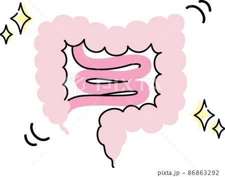 腸内環境のイラスト 腸内環境のイラスト 86863292