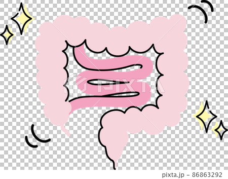 腸内環境のイラスト 腸内環境のイラスト 86863292