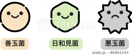 腸内環境のイラスト 86863294