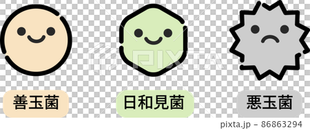 腸内環境のイラスト 86863294