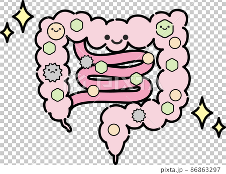 腸内環境のイラスト 腸内環境のイラスト 86863297