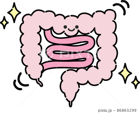 腸内環境のイラスト 86863299