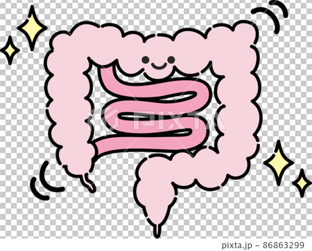 腸内環境のイラスト 86863299